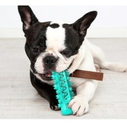 Hunde-Kauspielzeug, Haustier-Backenzahn-Zahnbürstenstab-Spielzeug für kleine große Hunde, Katzen-Zahnreinigung, Welpen-Kauspi