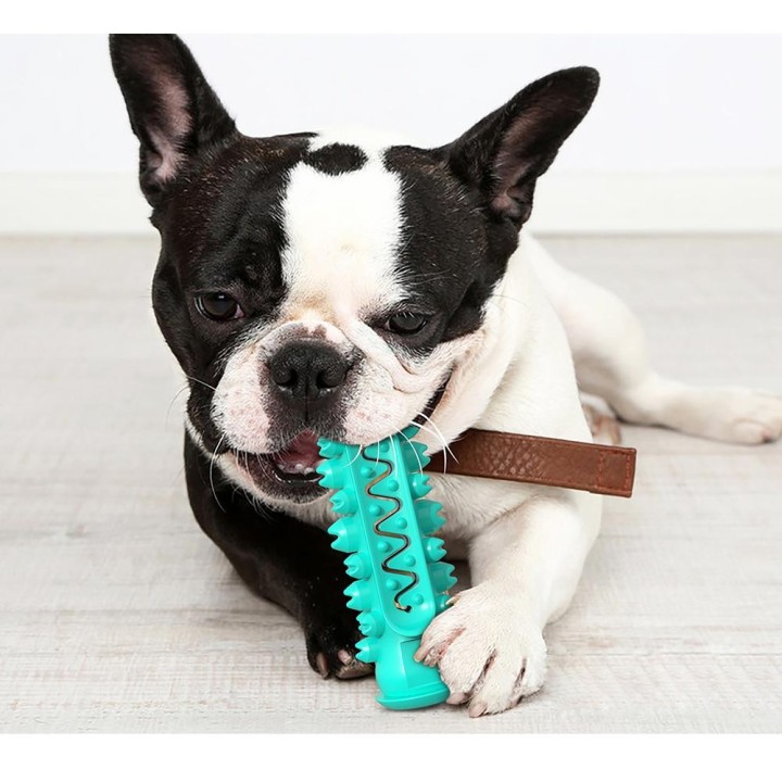 Hunde-Kauspielzeug, Haustier-Backenzahn-Zahnbürstenstab-Spielzeug für kleine große Hunde, Katzen-Zahnreinigung, Welpen-Kauspi