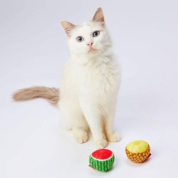 Petio Katzenspielzeug Tropical Fruit Ball 2er Set Ananas/Wassermelone