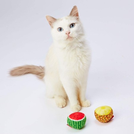 Petio Katzenspielzeug Tropical Fruit Ball 2er Set Ananas/Wassermelone