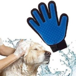 Hunde- und Möbelzubehör aus der Umgebung von GuiJiao