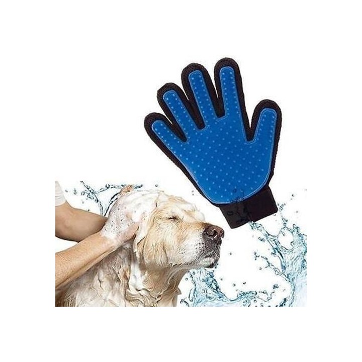 Hunde- und Möbelzubehör aus der Umgebung von GuiJiao