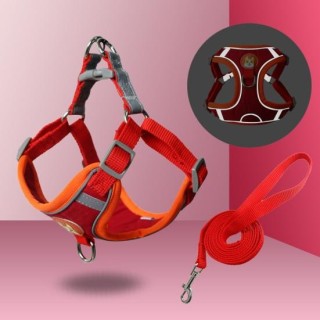 Mild zur Haut, Cartoon-Hundemuster, Haustier-Traktionsleine, langlebiges Universal-Trainingsgeschirr-Set M braun