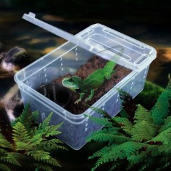 Reptilien-Schlangen-Futterbox, Brutbehälter, Eidechsen-Vogelspinnen-Lebensraum, tragbare Kunststoff-Haustierhäuser für Spinne