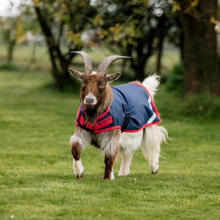 Horseware Goat Coat 0g