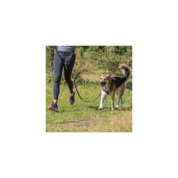 Trixie Bauchgurt mit Leine zum Joggen