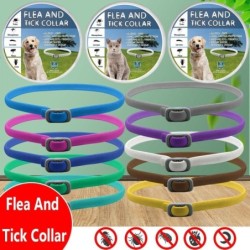 Verstellbares Hundehalsband für Welpen und Kätzchen, 8 Monate Schutz, Floh- und Zeckenschutz, Insektenschutz für Hunde und Ka