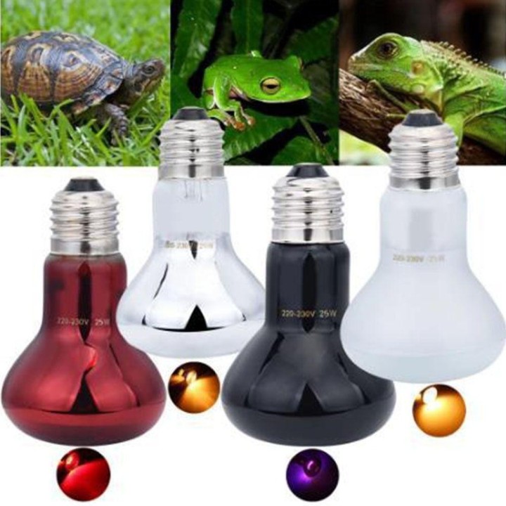 Einstellbare Led Pet Heizung Lampe UVA Reptil Wärme Birne Glas Birne UVA Tag Nacht Birne Schlange 75W weiß