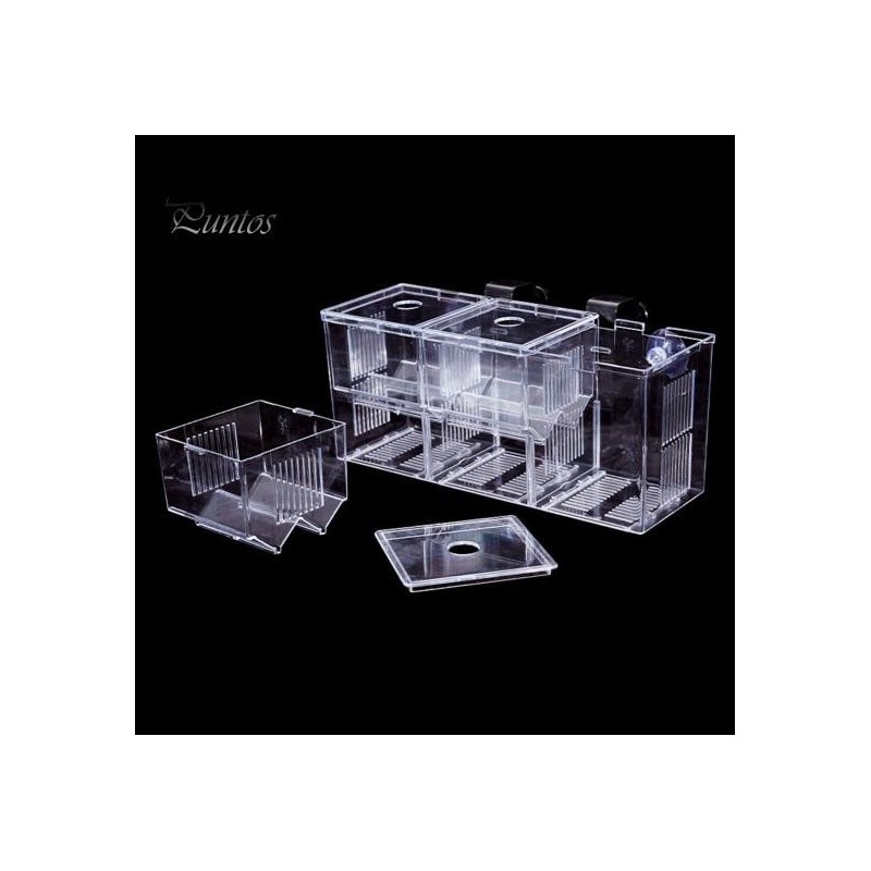 Aquarium-Zuchtbox, Isolierung, Fischzucht, Brutteiler, transparentes Multi-Grid-Design, Fischzucht-Isolationsbox für Garnelen