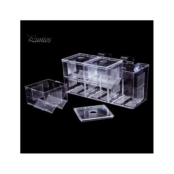 Aquarium-Zuchtbox, Isolierung, Fischzucht, Brutteiler, transparentes Multi-Grid-Design, Fischzucht-Isolationsbox für Garnelen