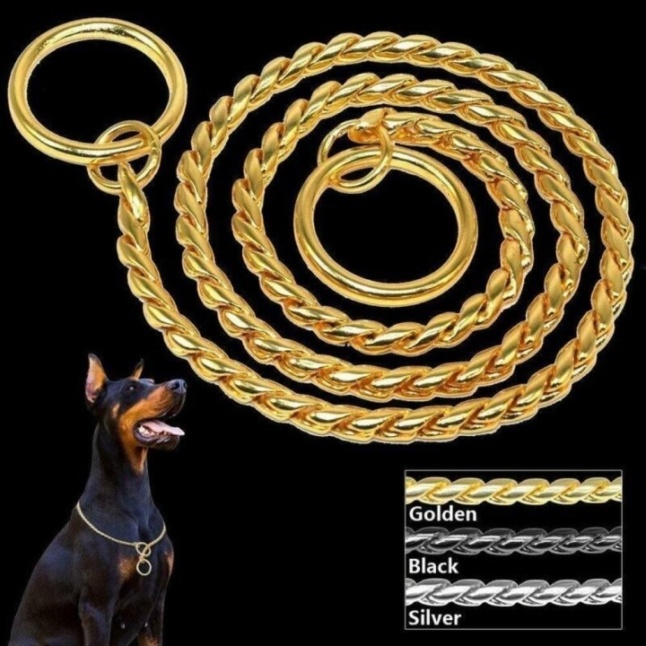 Pet Show Collar P Slip Chains Halsbänder Kupfer Pinch Collar Schlangenkette Hundehalsband Pet Pincher Chain gold