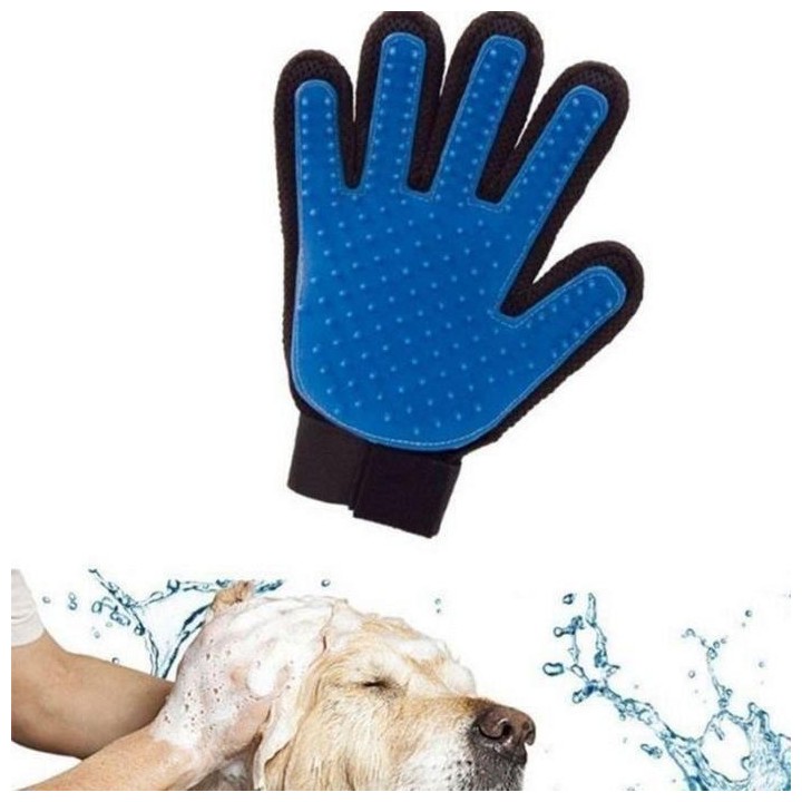 Toilettengang - Nicht spezifiziert - Massage - Epilation - Blau