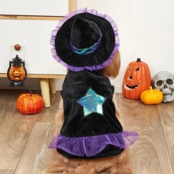 Haustier-Transformationskleid, Halloween-Hunde-Spitzhut-Kleidung, Haustier-Katzen-Hundemantel, Weihnachtsset, Hundekleider fü