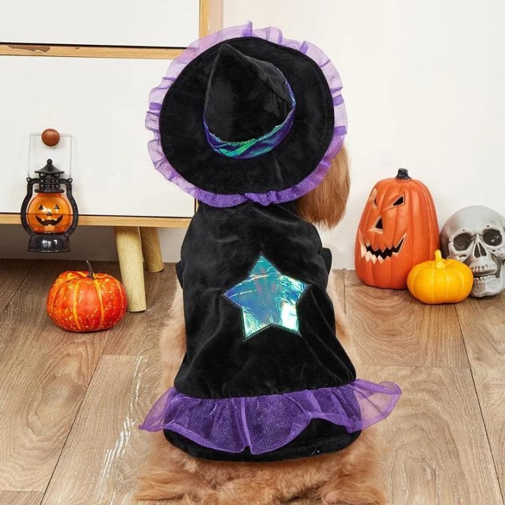 Haustier-Transformationskleid, Halloween-Hunde-Spitzhut-Kleidung, Haustier-Katzen-Hundemantel, Weihnachtsset, Hundekleider fü