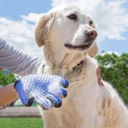 SHOP-STORY – Gant de brossage pour toilettage de poils d'animaux de compagnie Chien Chat