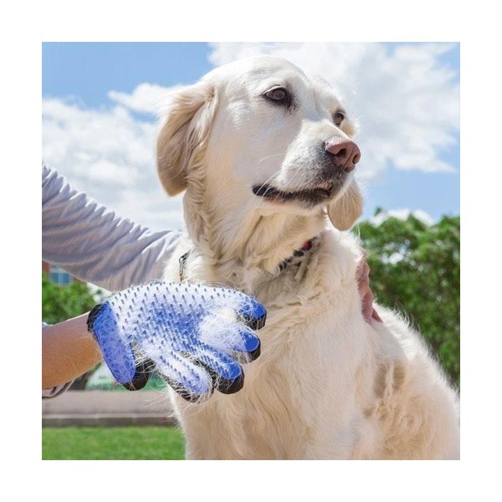 SHOP-STORY – Gant de brossage pour toilettage de poils d'animaux de compagnie Chien Chat