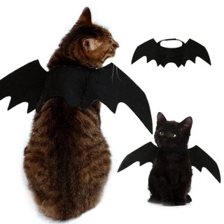 Halloween Niedliche Haustierkleidung Schwarze Fledermausflügel Geschirr Kostüm Cosplay Katze Hund Halloween Party für Heimtie