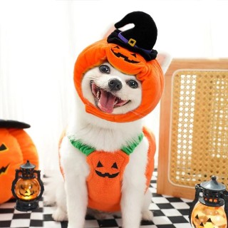 Hundekleidung Halloween Kleidung Anzug Outfit Kostüme Outfits Haustierkostüm Welpe Chihuahua Hunde Kostüm Zubehör Zubehör Hom