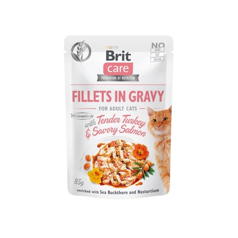 BRIT Care Fillets in gravy Tender Turkey & Savory Salmon 24 x 85 g