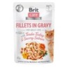 BRIT Care Fillets in gravy Tender Turkey & Savory Salmon 24 x 85 g