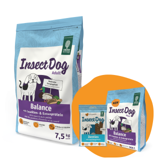 GREEN PETFOOD InsectDog Balance 7,5kg + 900g & Denties GRATIS
