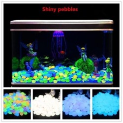 Fluoreszierende Pier-Galerien, 100 Stück, für die Dekoration Ihres Aquariums. Dunkelviolett