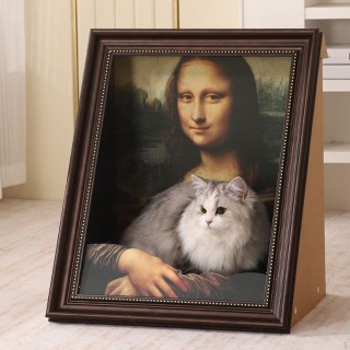 Katzenspielzeughaus für den Innenbereich, doppelseitiges Ölgemälde zum Spielen und Schlafen, A A