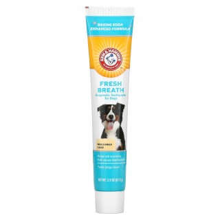 Arm & Hammer, Mundgeruchentfernung, Enzymzahnpasta, für Hunde, Vanille-Ingwer, 67,5 g (2,5 Unzen)