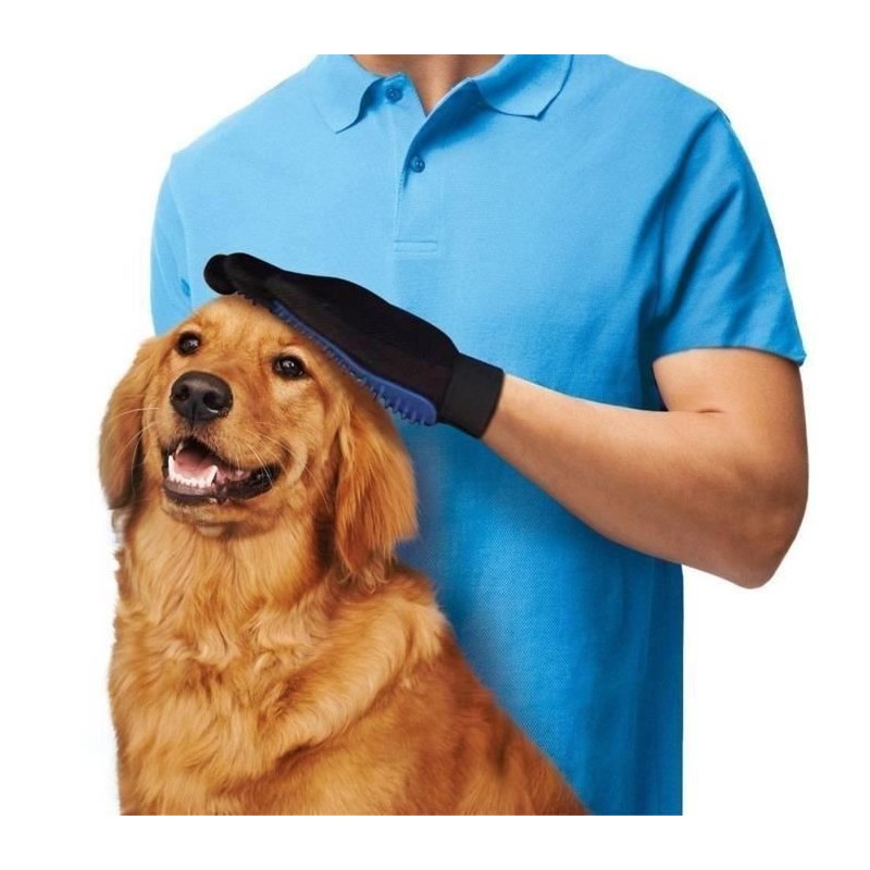 Gant de toilettage - Naisidier - Magic Brosse - Bleu - Retrait facile des poils - Pour chien moyen