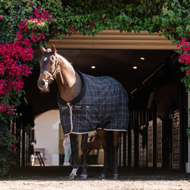 Horseware Rhino Pony Stable 100g