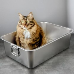 Rechteckige Katzentoilette aus Edelstahl, bruchfest, niedriger Einstieg, offen, geräumige Katzentoilette aus Metall, Haustier