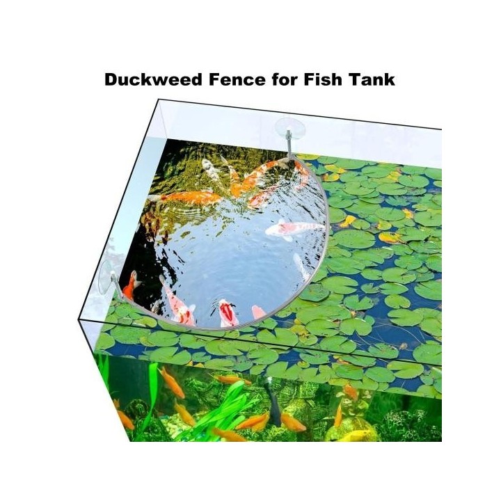 Aquarium Schwimmende Pflanzen Corral Schwimmender Pflanzenzaun Wasserpflanzenschutz Aquarium Schwimmende Pflanzenbarriere Fis