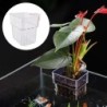 1PC Hydrokultur-Pflanzbecher, Haushaltswasser, Graspflanzbecher, Wandmontage, hochtransparent, Aquarium, Landschaftsdekoratio