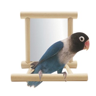 Standsitzstange mit Spiegel für Papageien, Haustierzubehör, Holzdekorationen