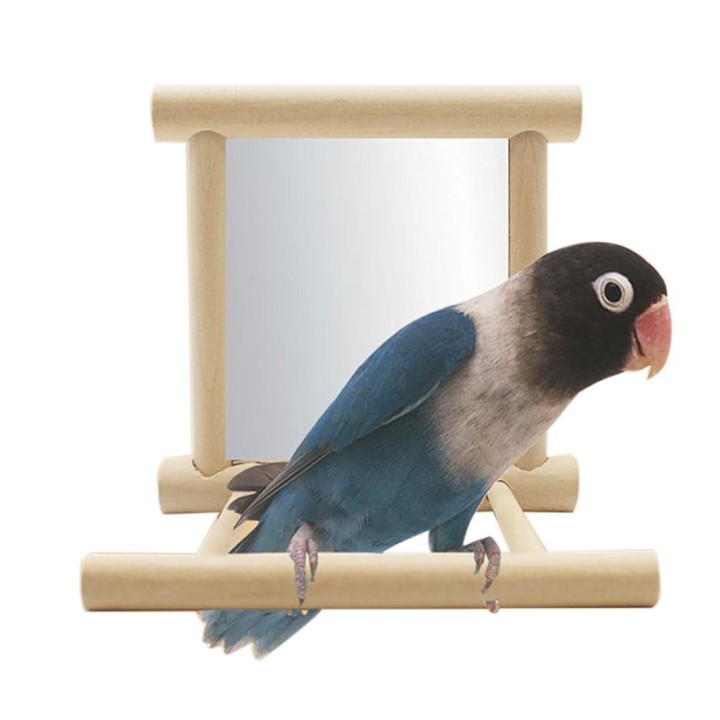 Standsitzstange mit Spiegel für Papageien, Haustierzubehör, Holzdekorationen