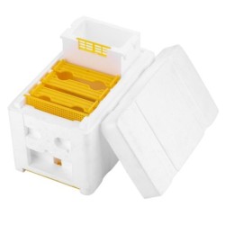Ernte Bee Hive Bienenzucht King Box Bestäubung Box Bienenzucht Werkzeug
