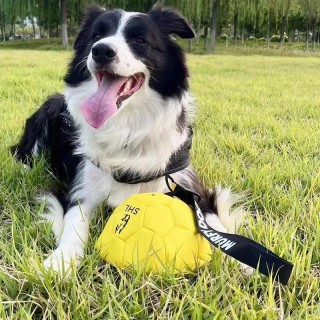 Interaktives Wurftrainingsspiel, Fußball, bissfester Hundeball, Spielzeug aus Rindsleder, harmlose Zähne für Hundetrainingsbe