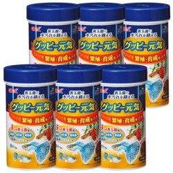 GEX Guppy Genki Probio Zucht- und Wachstumsfutter 52g x 6 Stück Set