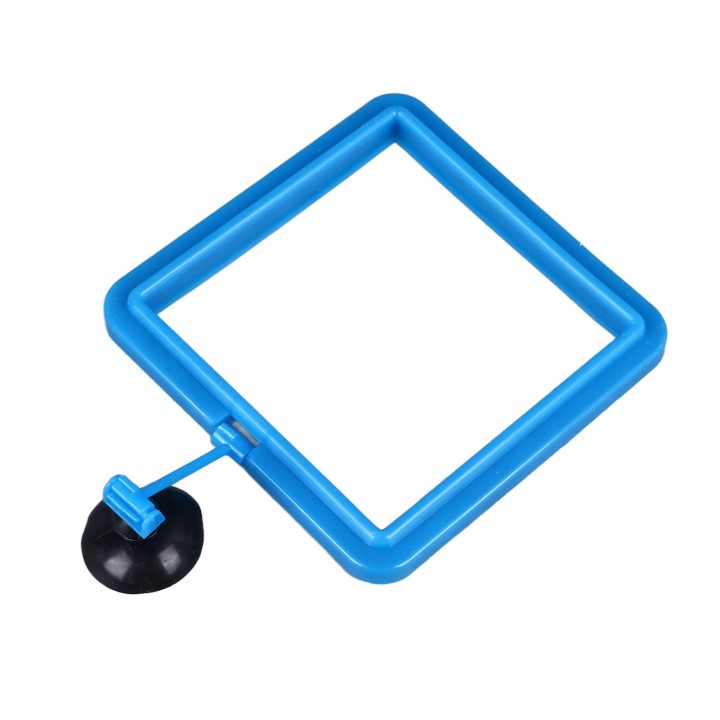 Fischfütterungsring mit Saugnapf, einfach zu installieren, verhindert, dass Wasserturbulenzen das Futter ins