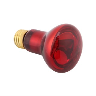 E27 Reptil Haustier Infrarot Heizung Licht Lampe Birne Emitter Lampe Nacht Wärme Birne 110V 75W