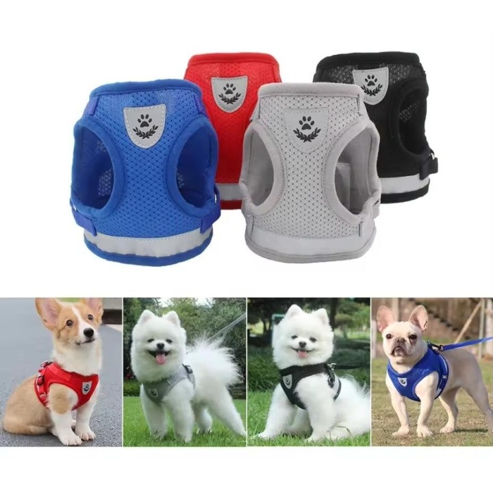 Verstellbares, atmungsaktives Geschirr und Leine für Hunde und Katzen, ausbruchsicheres Katzenwestengeschirr, Hundeleinen für