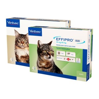 Effipro DUO Spot-on für Katzen - bis zu 6 kg - 4 Pipetten