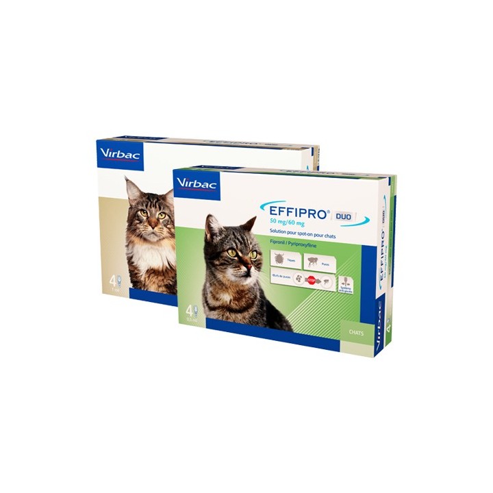 Effipro DUO Spot-on für Katzen - bis zu 6 kg - 4 Pipetten