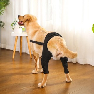 Gelenkverletzung Erholung Beine Schutz Knie Hüftgelenk schützen Klammer Wrap Gürtel Unterstützung Gürtel Hund XS schwarz