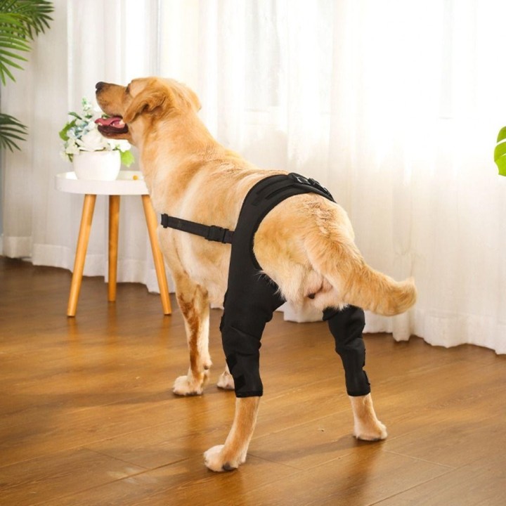 Gelenkverletzung Erholung Beine Schutz Knie Hüftgelenk schützen Klammer Wrap Gürtel Unterstützung Gürtel Hund XS schwarz