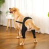 Gelenkverletzung Erholung Beine Schutz Knie Hüftgelenk schützen Klammer Wrap Gürtel Unterstützung Gürtel Hund XS schwarz