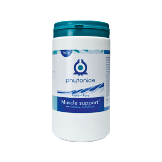 Phytonics Muscle Support Pferd - 800 g