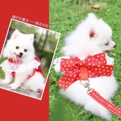 Hundegeschirr Schöne Spitze Katzenleine Schleife Knoten Brustgurt Hundehalsband Heimtierbedarf Zubehör Hundeleine Rote Schlei
