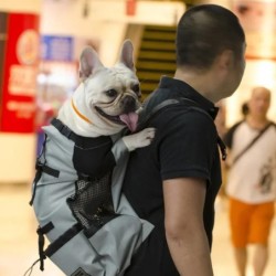Verstellbarer Outdoor-Reiserucksack für Haustiere, zum Wandern und Radfahren, reflektierende Tragetasche für Hunde, französis