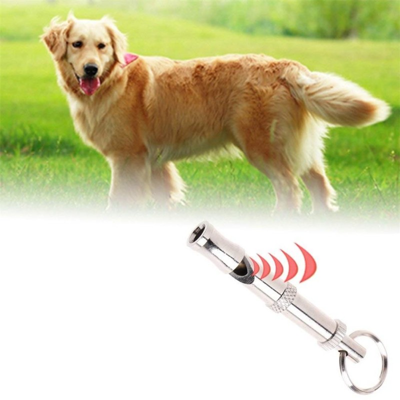 Tragbare Haustier Hund Pfeife Schlüsselanhänger Zwei Ton Ultraschall Flöte Stop Bellen Sound Repeller Hund